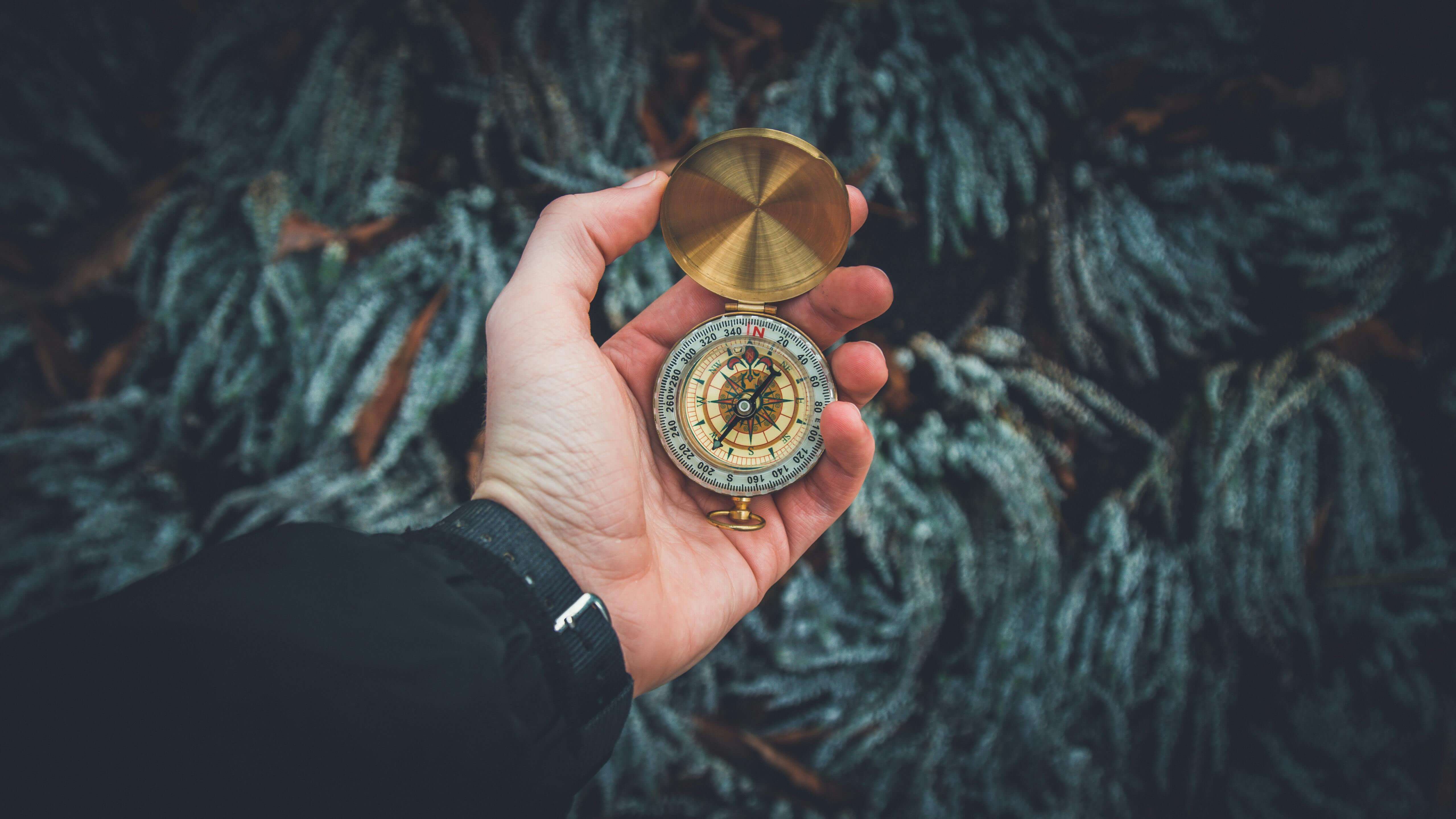 Compass background